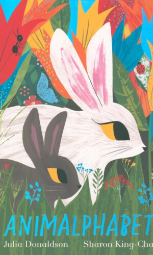 Childrens Picture Flat Books